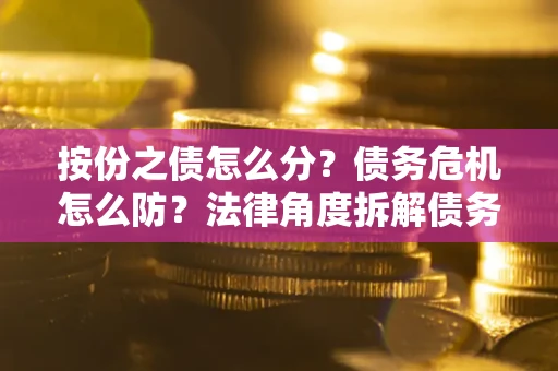 北京按份之债怎么分？债务危机怎么防？法律角度拆解债务分配与风险自保指南
