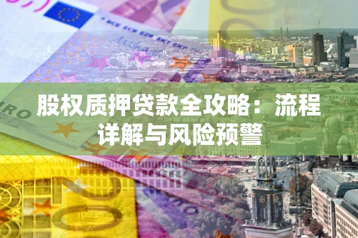 北京股权质押贷款全攻略：流程详解与风险预警