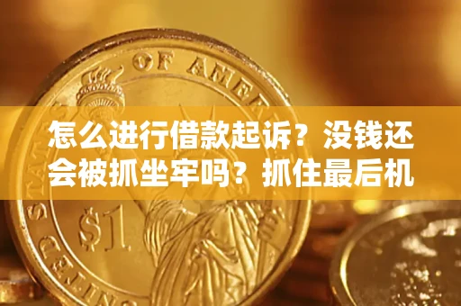 北京怎么进行借款起诉？没钱还会被抓坐牢吗？抓住最后机会！