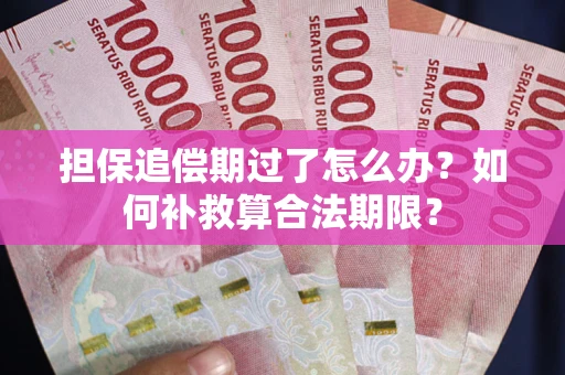 北京担保追偿期过了怎么办？如何补救算合法期限？