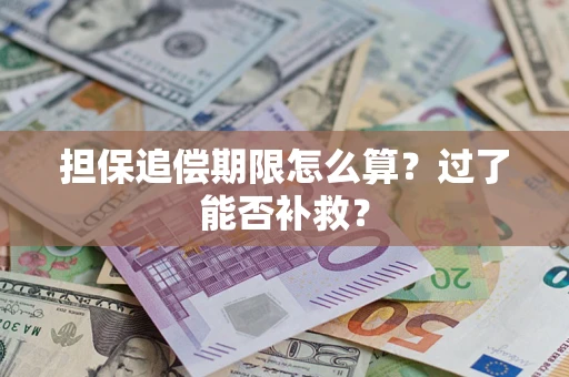 北京担保追偿期限怎么算？过了能否补救？